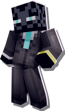 Ender skin